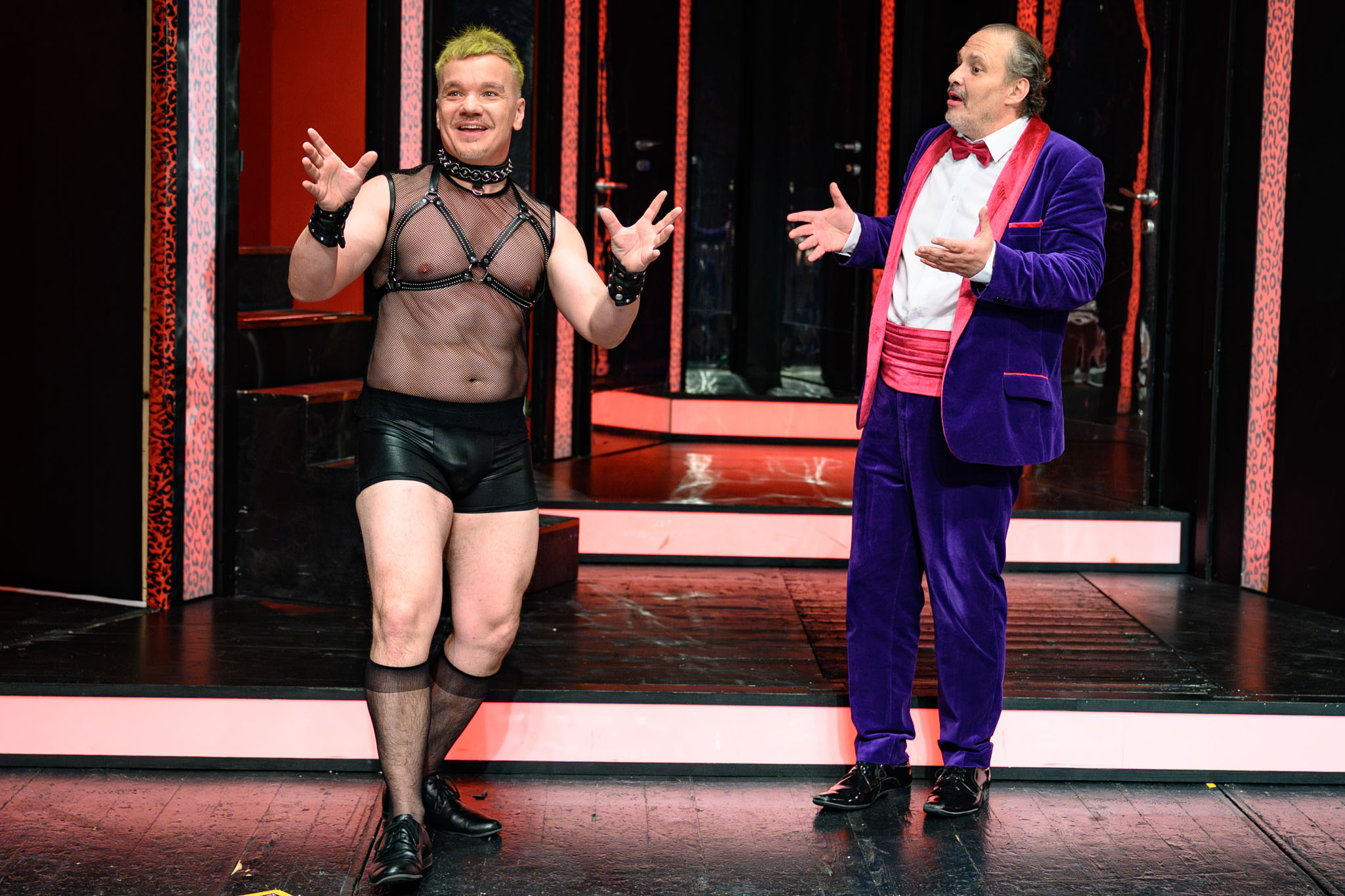 Dab chrobak v hlave 1103