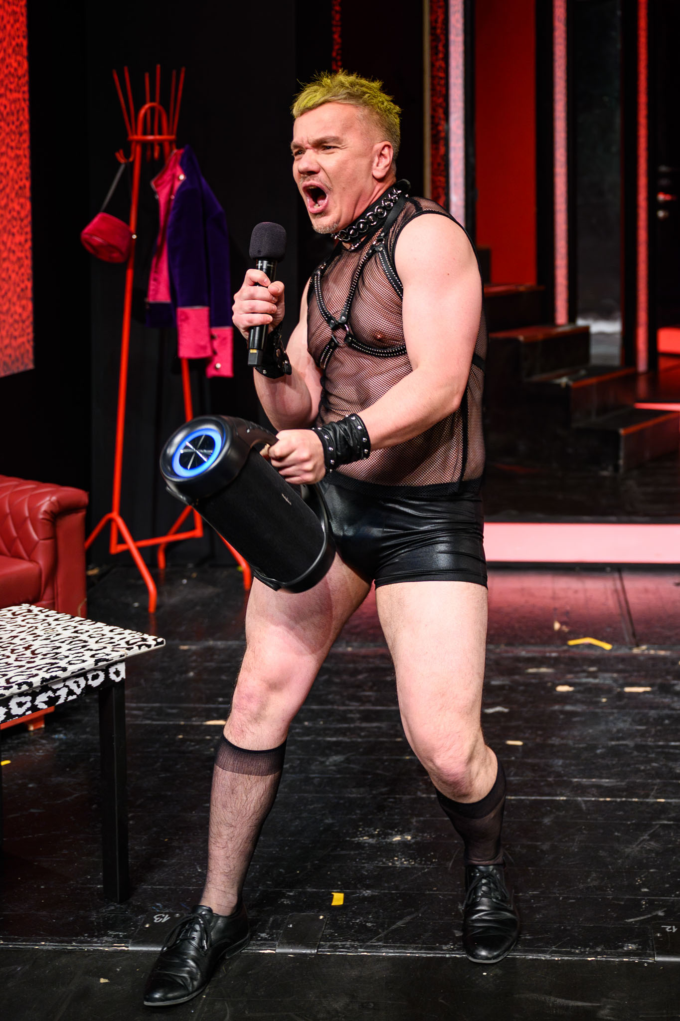 Dab chrobak v hlave 1137