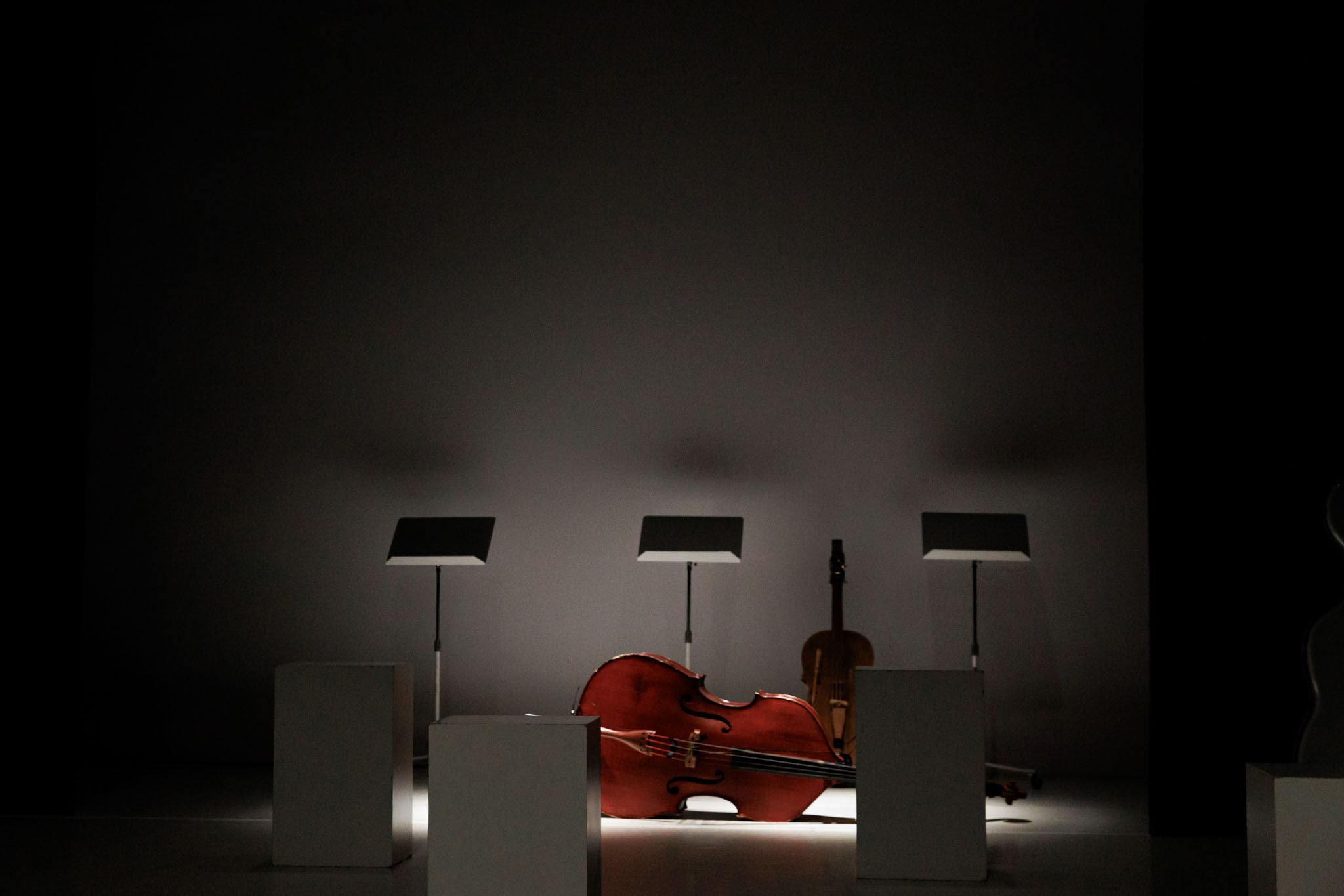 Tanečné divadlo Ifjú Szivek