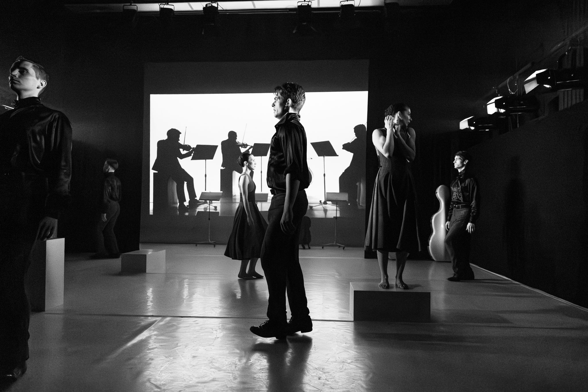 IMG 3537 Enhanced NR 2