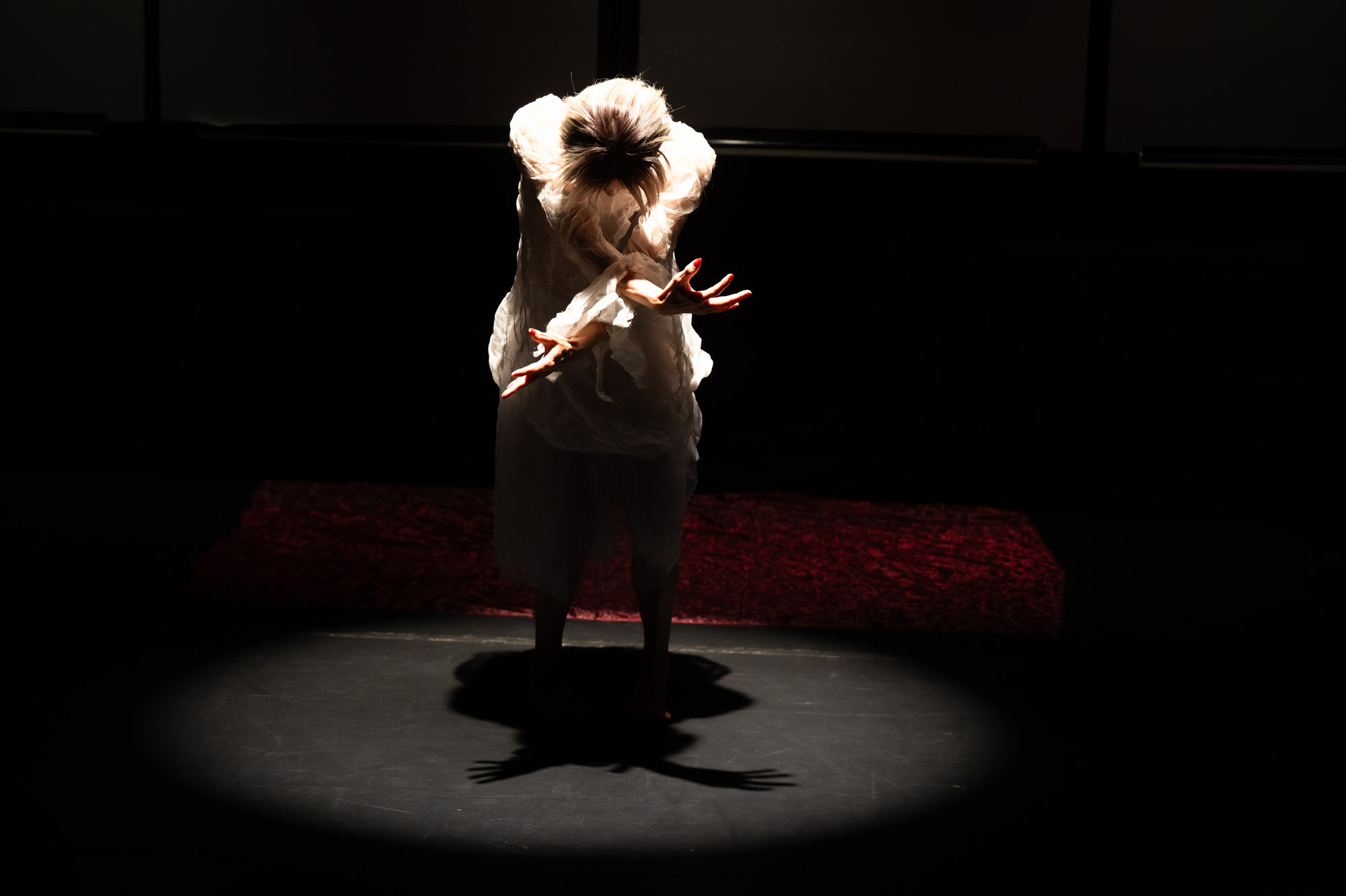 20251015 TN SNJ Ken Mai foto Radovan Stoklasa 002w