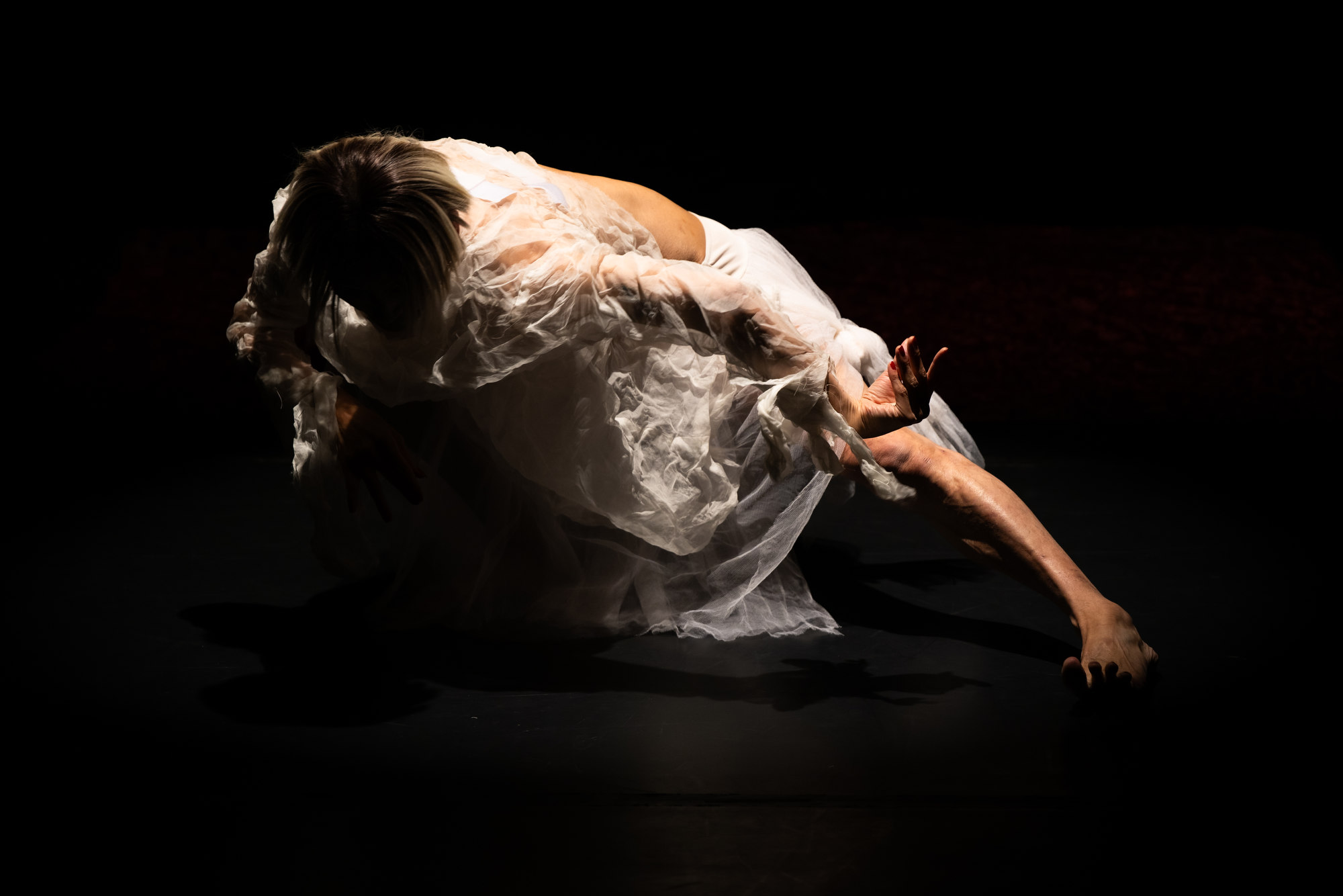 20251015 TN SNJ Ken Mai foto Radovan Stoklasa 010w