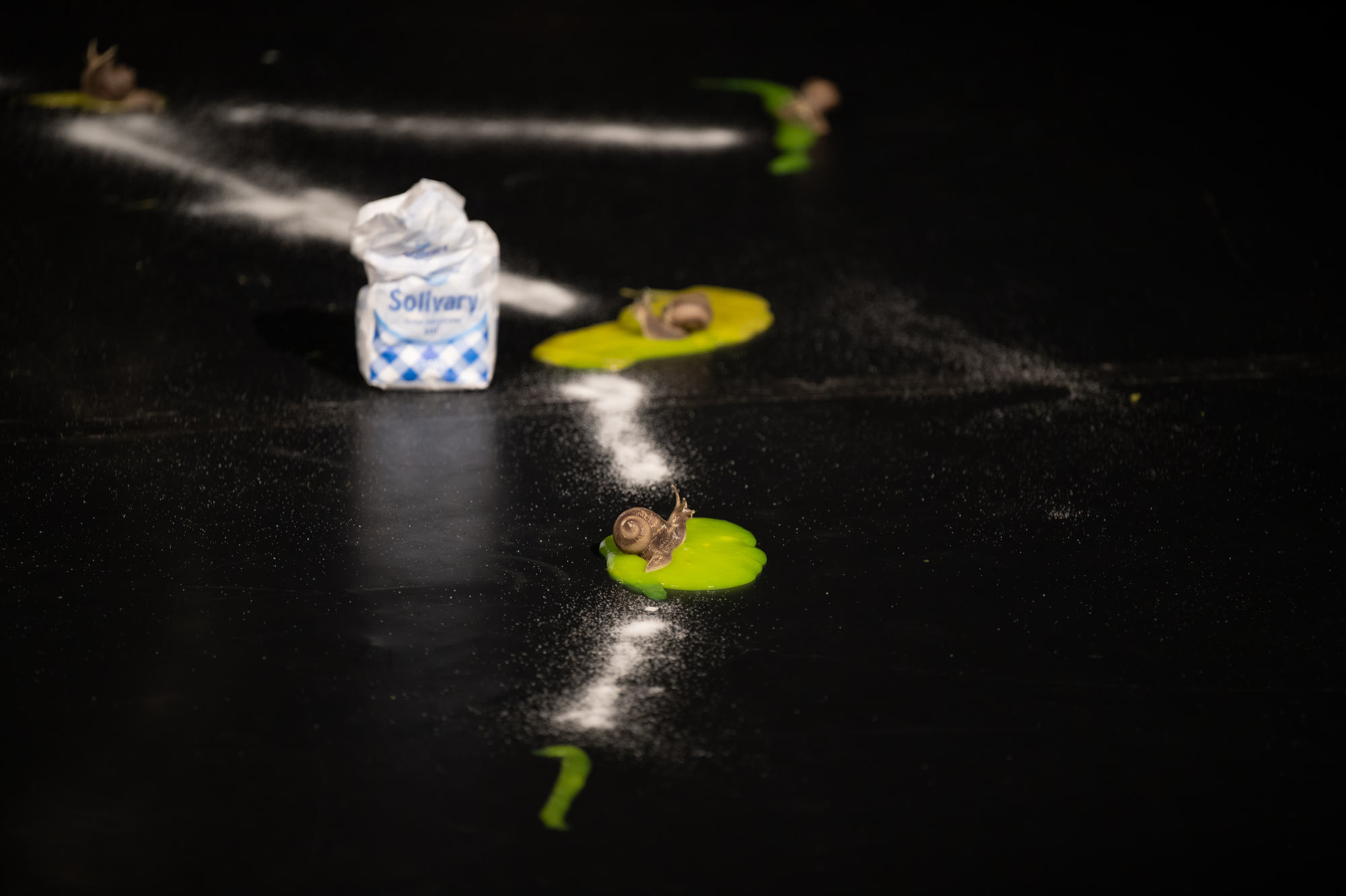 20251012 TN SNJ Martina Chmelanová foto Radovan Stoklasa 014w